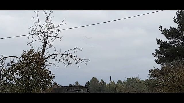 На даче Чуть не шибануло Отремонтировала Обрезала Закопала Собрала Любуюсь полетом журавлей