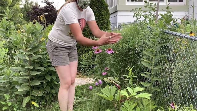 Urban Yard Transformation to Mostly Native Plants - July 2020 (WOMRA) смотреть онлайн