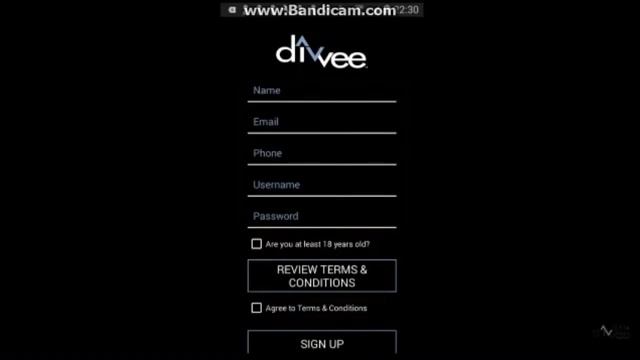 DIVVEE Social Как Приглашать Партнеров, Регистрация и оплата на русском языке смотреть онлайн