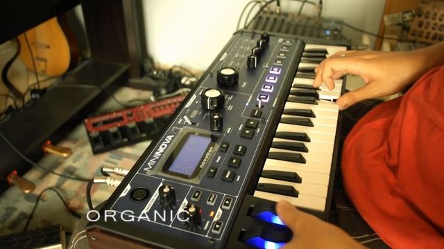 novation mininova - ALL keyboard/lead sounds смотреть онлайн