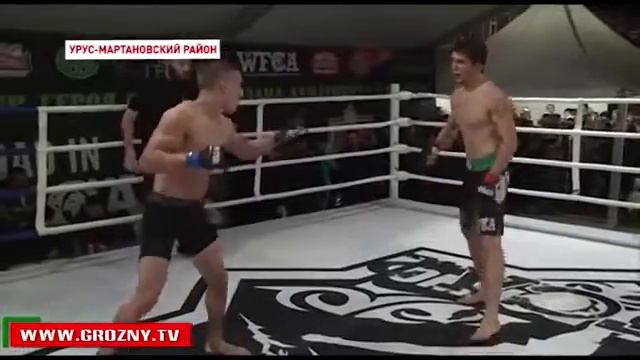 бои Ахмат смотреть онлайн