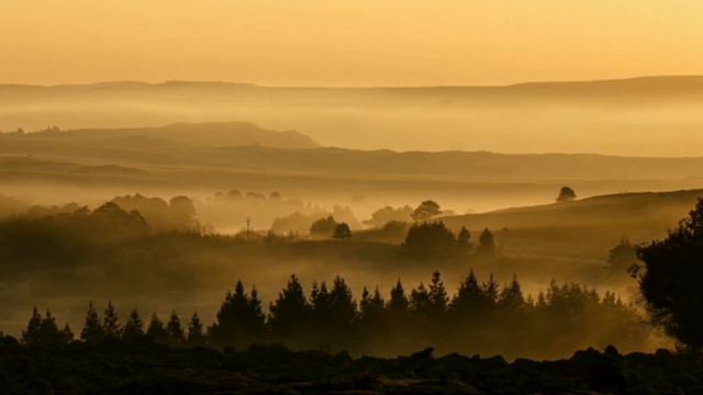 Enchanting Native American flute Music • Stress Relief • Beutiful relaxing Flute Music. смотреть онлайн