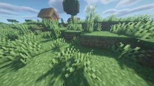 Minecraft fresh animation