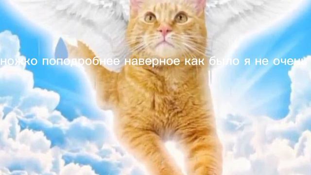 что стало с Симбочкой младшим?.. #симбаживи смотреть онлайн