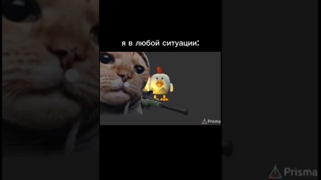 хахахах