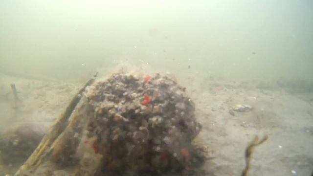 В проводку зимой. смотреть онлайн