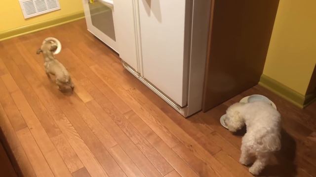 не хочет есть одна смотреть онлайн