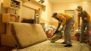 Чем травить клопов: это надо знать