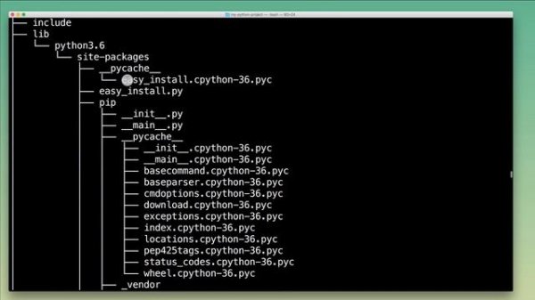 Installing Python Packages with pip and virtualenv / venv