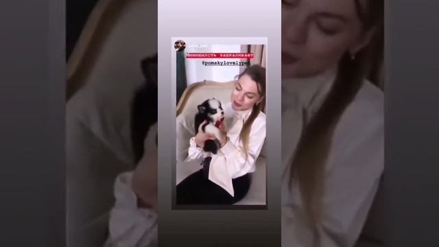 помски лавли пэт помски смотреть онлайн