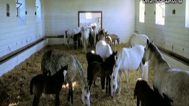 Концепция развития ВВЦ смотреть онлайн