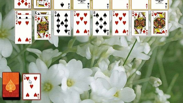 Hoyle Card Games (Windows game 2008) смотреть онлайн