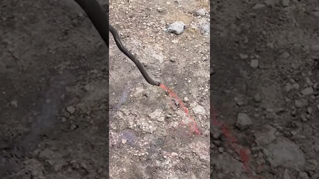 Потёк радиатор? Не беда! #shorts #наташкаплюс смотреть онлайн