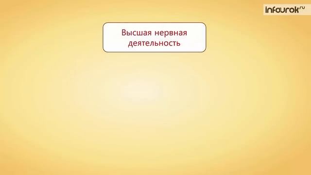 Высшая нервная деятельность  Рефлексы | Биология 7 класс #53 | Инфоурок