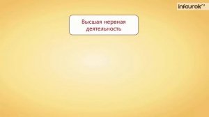 Высшая нервная деятельность  Рефлексы | Биология 7 класс #53 | Инфоурок