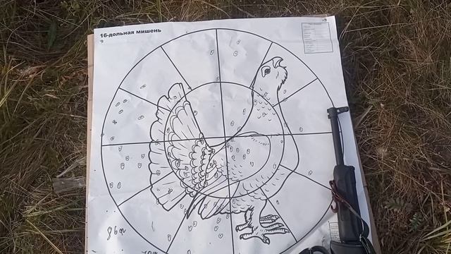 отстрел дроби 3 из сайги 12 к на 35 м пыж н 21 главпатрон навеска 2.2х32 смотреть онлайн