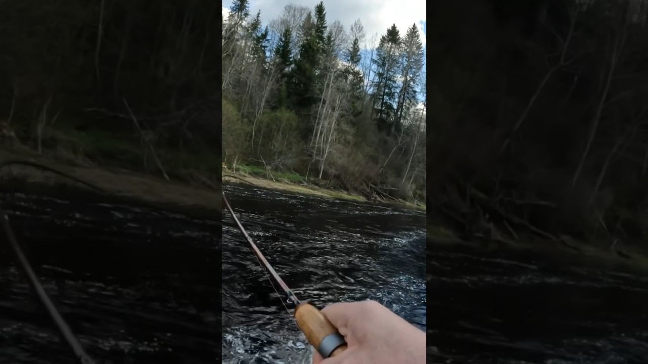 Думал зацеп, а там….#shorts #спиннинг #рыбалка #fishing #щука смотреть онлайн