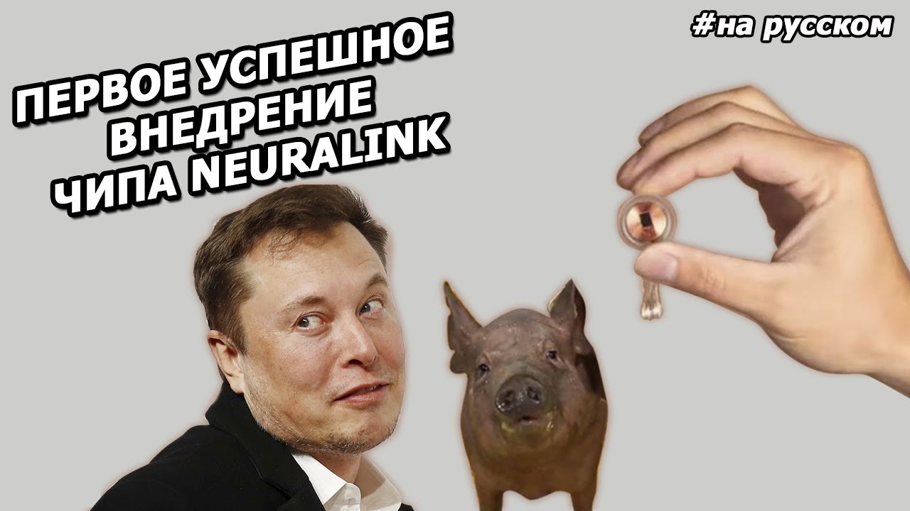 Илон Маск_ презентация нового ЧИПА для мозга NEURALINK _2020_.mp4 смотреть онлайн