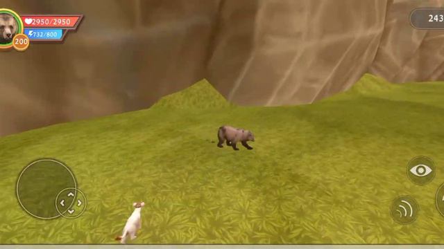 Что находится за картой 