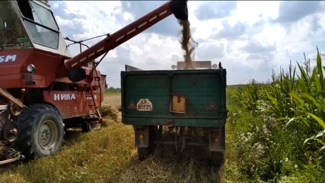 CK5 Niva Aratás 2020 смотреть онлайн