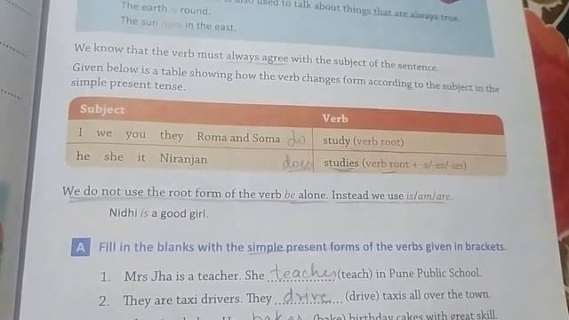 Grade 4 - English Grammar - Ch. 12 - "Present Tense" - Part 1 - Ex. A & B смотреть онлайн