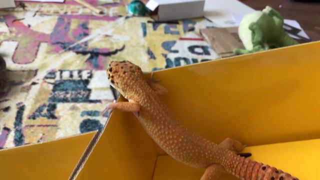 Васа смотрит в даль смотреть онлайн