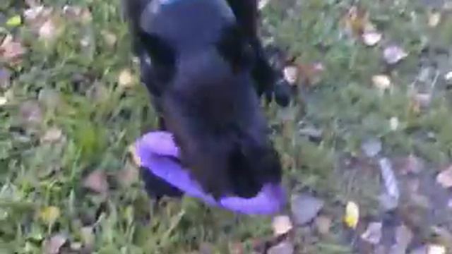 Гер Хип Джет Айрон Леди смотреть онлайн