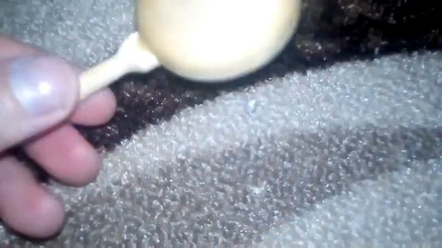 Утро хомяка смотреть онлайн