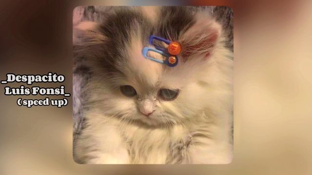 ~|Despacito-Luis Fonsi|~(speed Up)~✨