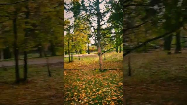 Запорожье.Красота!!!Собор Святого Андрея.ул.Моторостроителей.03.11.23. #chumovytskyi #zaporizhzhya смотреть онлайн