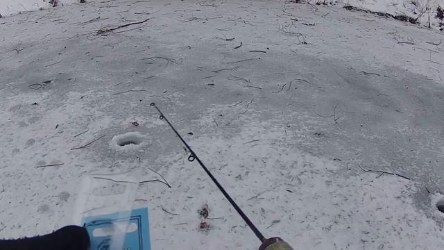 "Балансир на Осереде",15.01.2022 рыбалка на реке "Осередь", город Павловск. смотреть онлайн