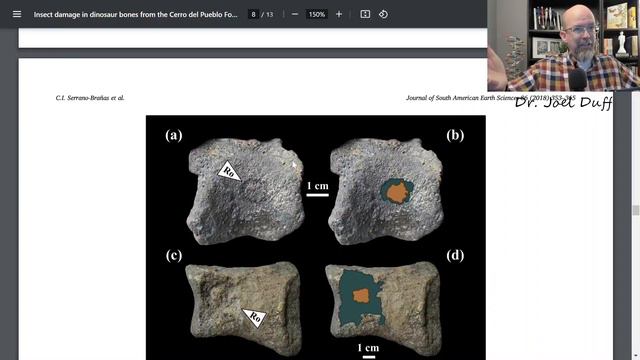 Flood Geology Failure: Beetle Bore Holes in Dinosaur Bones смотреть онлайн