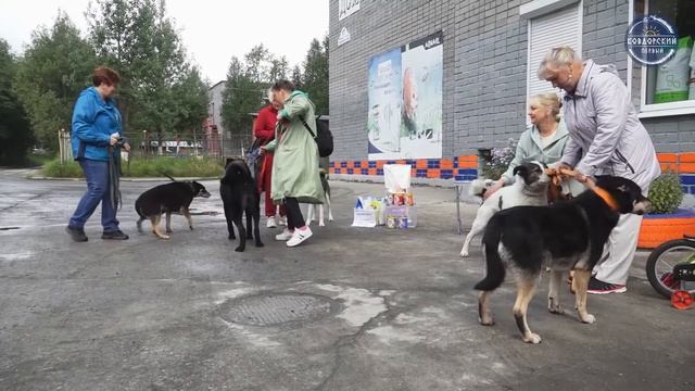 Purina приостанавливает производство