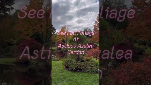 MUST DO! Acadia Top 10 Things to do in Acadia National Park 🎉 #acadia #maine #travel смотреть онлайн