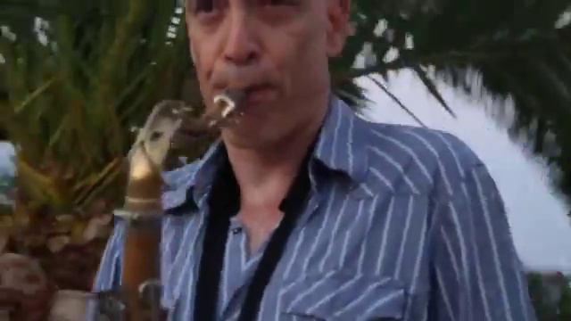 Dimitri Vassilakis live at Out of the Blue, Capsis Elite Resort смотреть онлайн