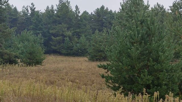 Женские имена, которые препятствуют удачному замужеству... смотреть онлайн