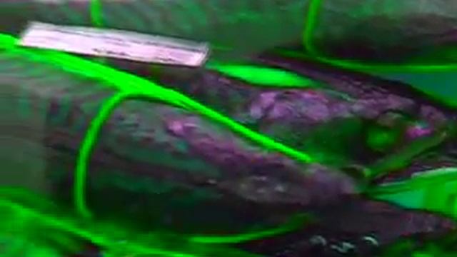 Дом и Стройка