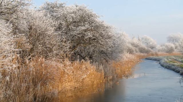 Ralph Vaughan Williams : In the Fen Country. Photographs. смотреть онлайн