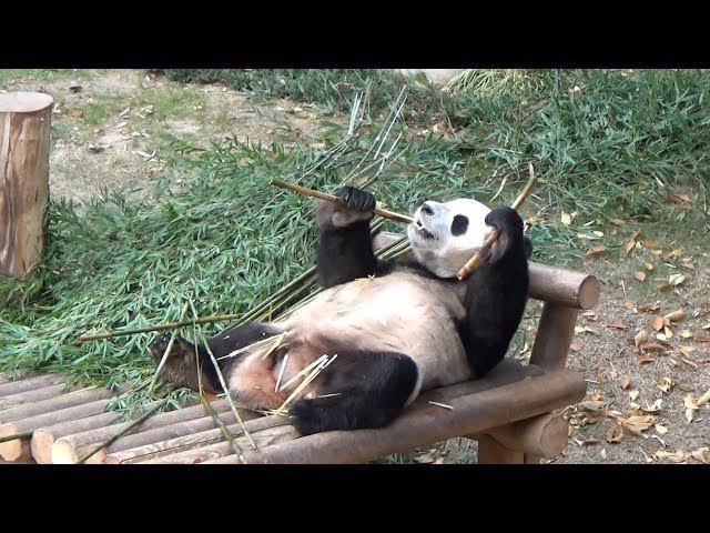 South Korea 2017 (Part 4) - Seoul Everland, Sokcho. Сеул, Сокчхо смотреть онлайн