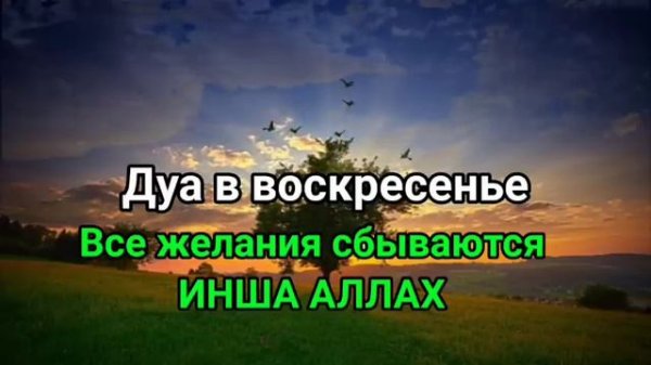 Дуа в воскресенье, Все желания сбываются, ДУА БАРАКАТ, РИЗК, БОГАТСТВО И ДУШЕВНОГО ПОКОЯ #дуа #qura