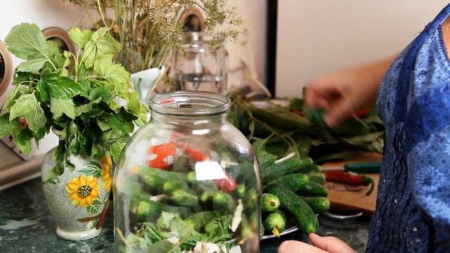 Интересные Факты и Загадки