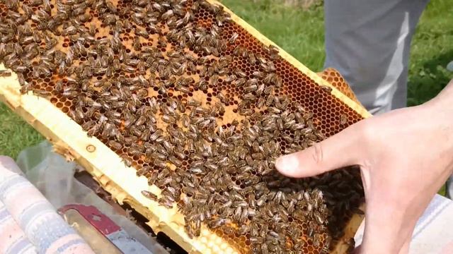 осмотр карники ф1 после долгой весны смотреть онлайн