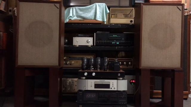 Tuấn anh. Tannoy gold10 смотреть онлайн