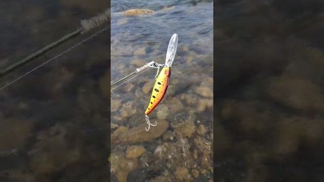 Артур,рыбалка в Приморье смотреть онлайн