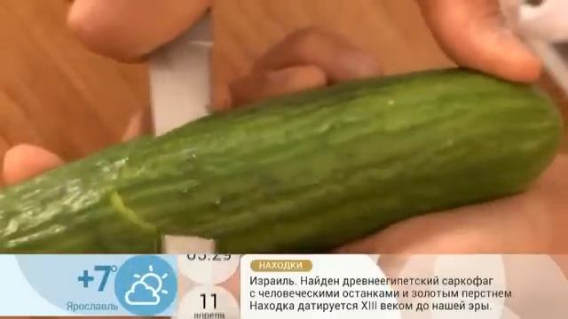 Крокодил из огурца смотреть онлайн