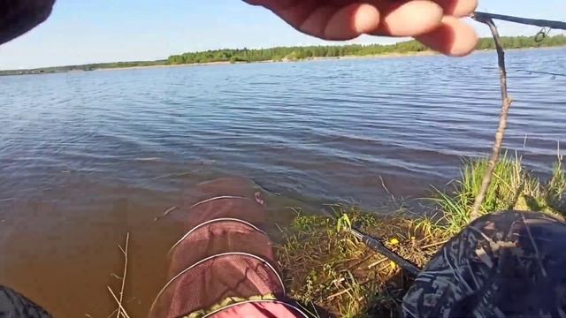 Рыбалка в Раково. Май. Карповый водоём.Я очень зол!