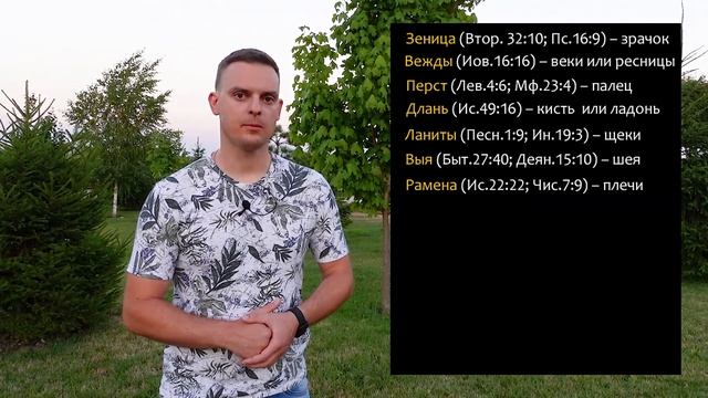 Устаревшие слова в Библии (части тела) смотреть онлайн