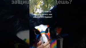 драконы/рапторы из тик тока