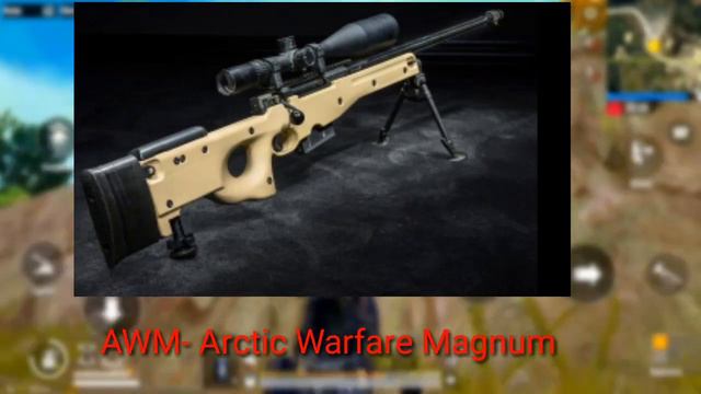 В чём отличие AWM от AWP? АВМ против АВП. Как правильно говорить AWM или AWP?