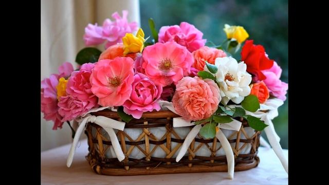 С днём рождения, Тамара! смотреть онлайн